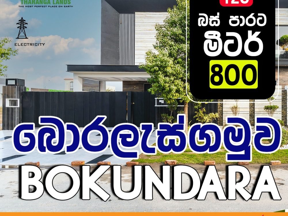 WhatsApp Image 2024-12-19 at 13.07.40_d805d312