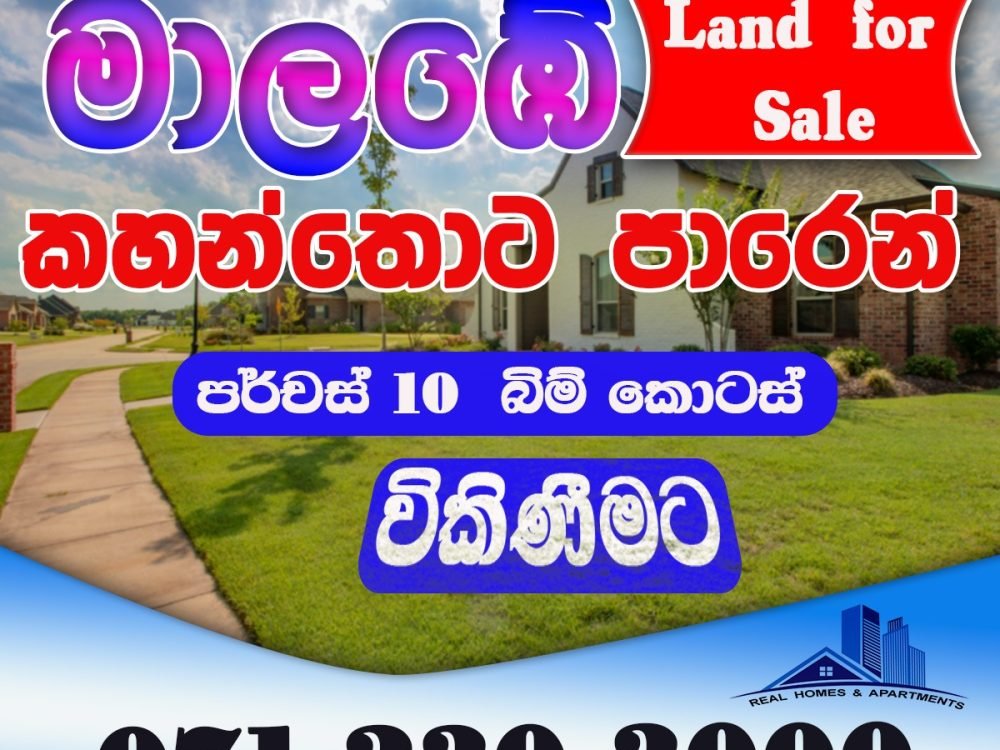 WhatsApp Image 2024-12-19 at 13.07.42_2e2aa827