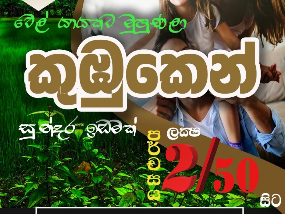 WhatsApp Image 2024-12-19 at 13.07.42_da13b162